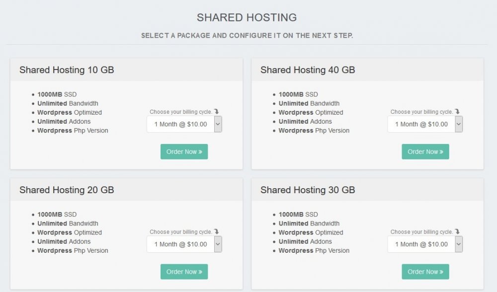 FireShot Capture 105 - Shared Hosting_ - http___localhost_blesta_order_main_packages_shared-hosting_.jpg